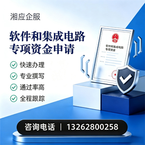 邯郸软件和集成电路专项资金申报服务