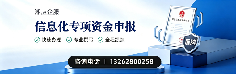 邯郸信息化专项资金申报服务