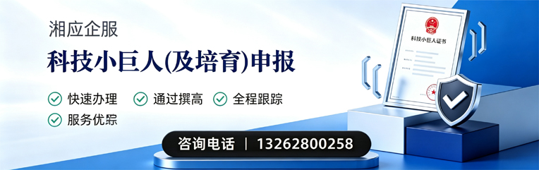 邯郸科技小巨人及培育企业申报服务