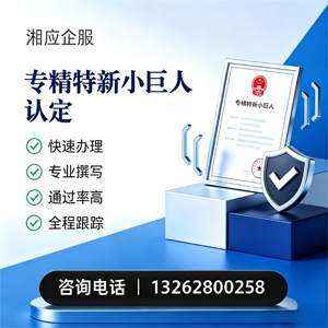 邯郸专精特新小巨人申报服务