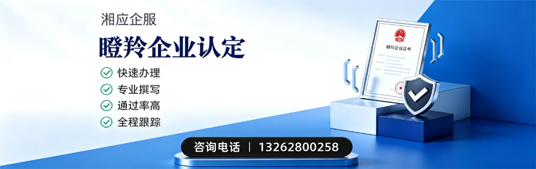 邯郸瞪羚企业认定申报服务
