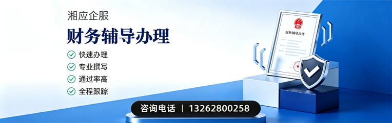 邯郸财务辅导申请服务