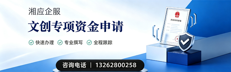 邯郸文创专项资金申报服务