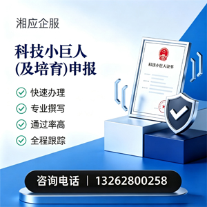 邯郸科技小巨人及培育企业申报服务
