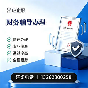 邯郸财务辅导申请服务