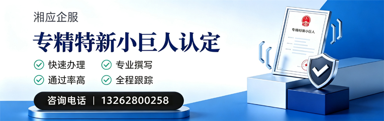 邯郸专精特新小巨人申报服务